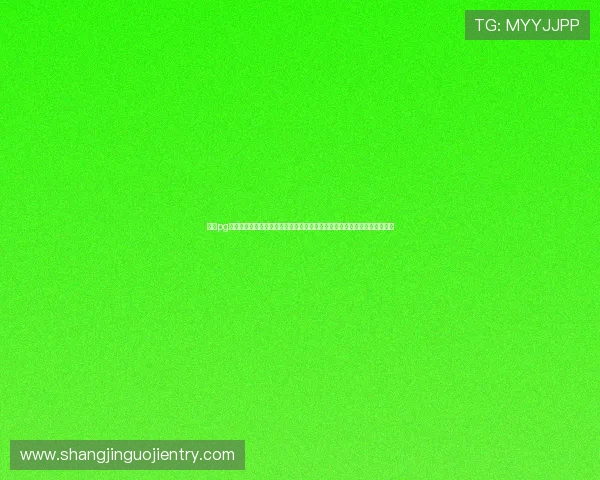 南宫pg模拟器最新版本下载与详细使用指南，帮助玩家轻松上手体验极致游戏乐趣